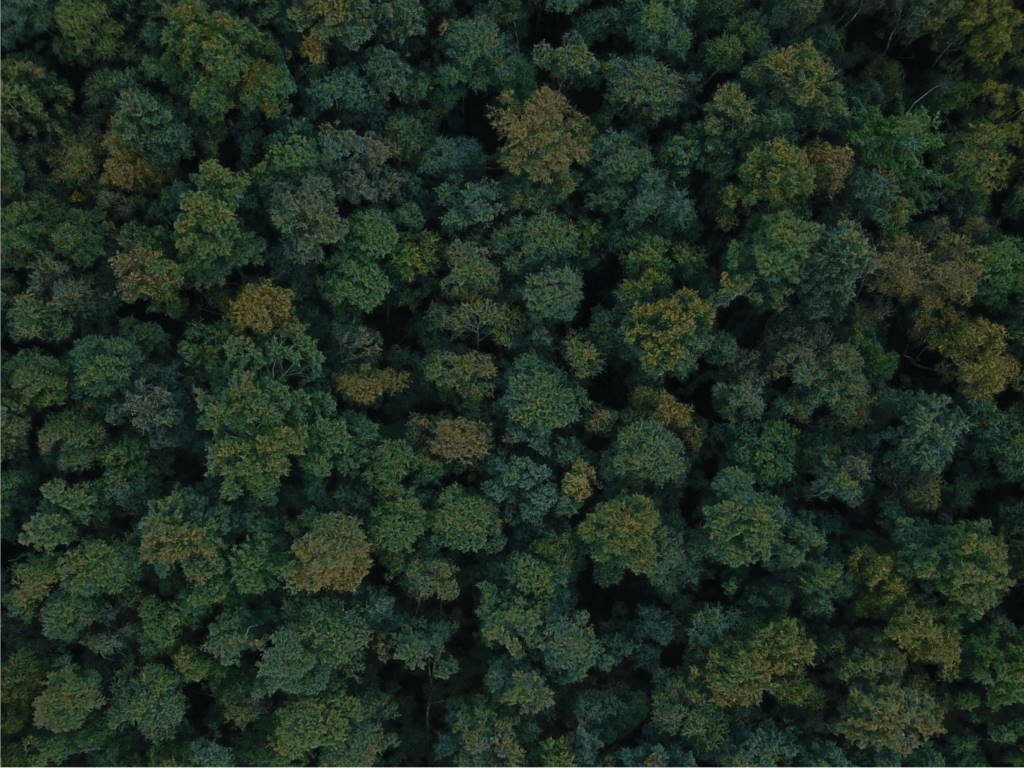 Start Your Journey to Sustainability